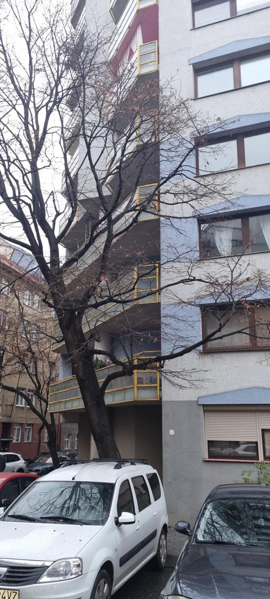 Huge Apartment Next To Train Station Close To The City Center Bratislava Bagian luar foto